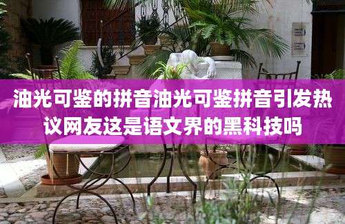 油光可鉴的拼音油光可鉴拼音引发热议网友这是语文界的黑科技吗