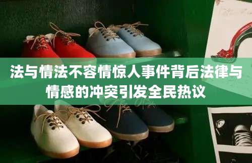 法与情法不容情惊人事件背后法律与情感的冲突引发全民热议