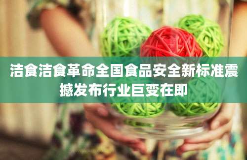 洁食洁食革命全国食品安全新标准震撼发布行业巨变在即