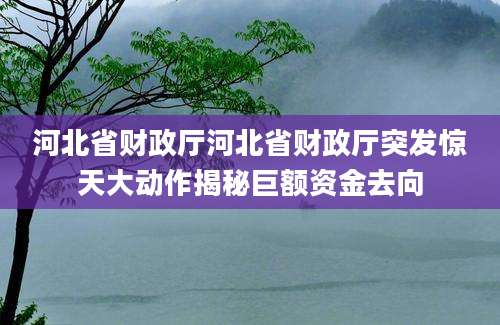 河北省财政厅河北省财政厅突发惊天大动作揭秘巨额资金去向