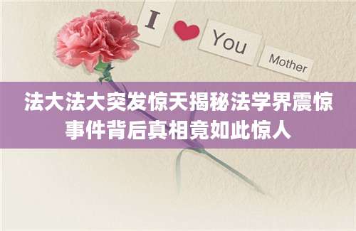 法大法大突发惊天揭秘法学界震惊事件背后真相竟如此惊人