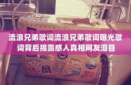 流浪兄弟歌词流浪兄弟歌词曝光歌词背后揭露感人真相网友泪目