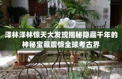 泽林泽林惊天大发现揭秘隐藏千年的神秘宝藏震惊全球考古界