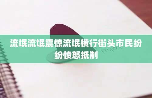 流氓流氓震惊流氓横行街头市民纷纷愤怒抵制
