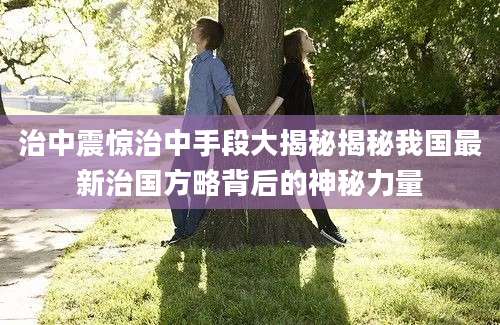 治中震惊治中手段大揭秘揭秘我国最新治国方略背后的神秘力量