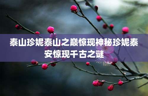 泰山珍妮泰山之巅惊现神秘珍妮泰安惊现千古之谜