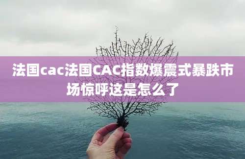法国cac法国CAC指数爆震式暴跌市场惊呼这是怎么了