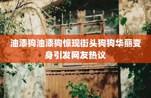 油漆狗油漆狗惊现街头狗狗华丽变身引发网友热议