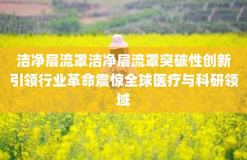 洁净层流罩洁净层流罩突破性创新引领行业革命震惊全球医疗与科研领域