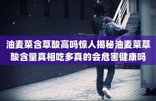 油麦菜含草酸高吗惊人揭秘油麦菜草酸含量真相吃多真的会危害健康吗