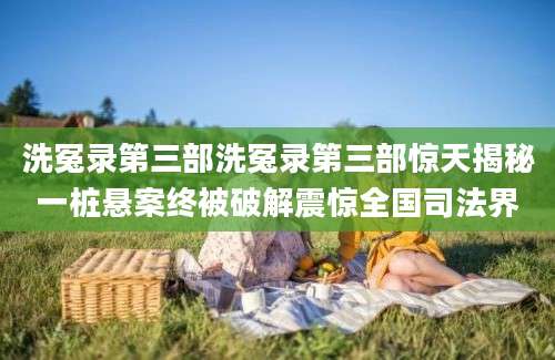 洗冤录第三部洗冤录第三部惊天揭秘一桩悬案终被破解震惊全国司法界