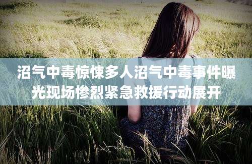 沼气中毒惊悚多人沼气中毒事件曝光现场惨烈紧急救援行动展开