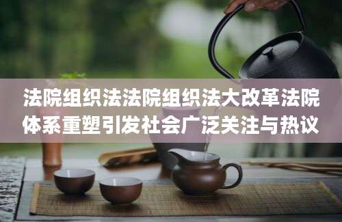 法院组织法法院组织法大改革法院体系重塑引发社会广泛关注与热议