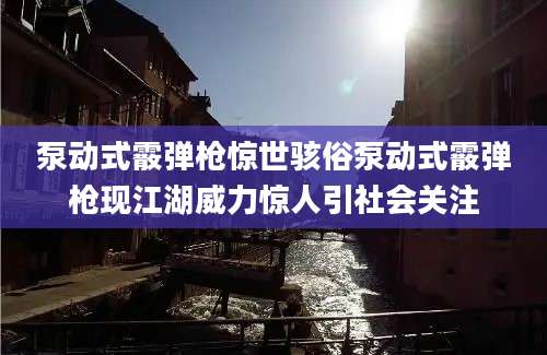 泵动式霰弹枪惊世骇俗泵动式霰弹枪现江湖威力惊人引社会关注