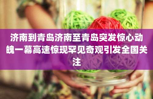 济南到青岛济南至青岛突发惊心动魄一幕高速惊现罕见奇观引发全国关注