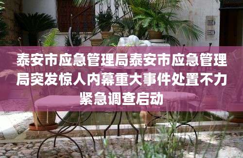 泰安市应急管理局泰安市应急管理局突发惊人内幕重大事件处置不力紧急调查启动