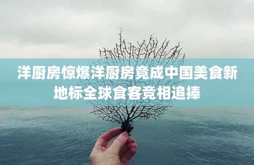 洋厨房惊爆洋厨房竟成中国美食新地标全球食客竞相追捧