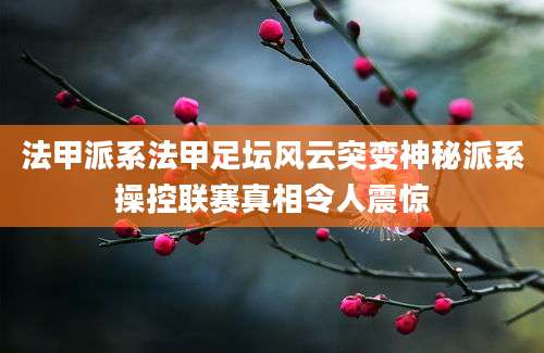 法甲派系法甲足坛风云突变神秘派系操控联赛真相令人震惊