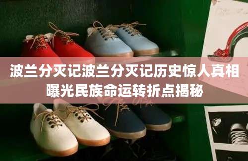 波兰分灭记波兰分灭记历史惊人真相曝光民族命运转折点揭秘