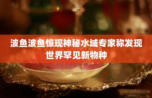波鱼波鱼惊现神秘水域专家称发现世界罕见新物种