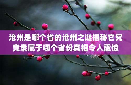 沧州是哪个省的沧州之谜揭秘它究竟隶属于哪个省份真相令人震惊