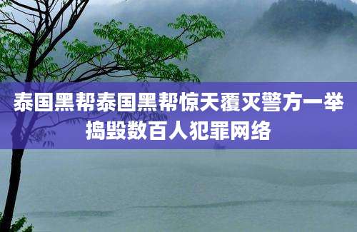 泰国黑帮泰国黑帮惊天覆灭警方一举捣毁数百人犯罪网络