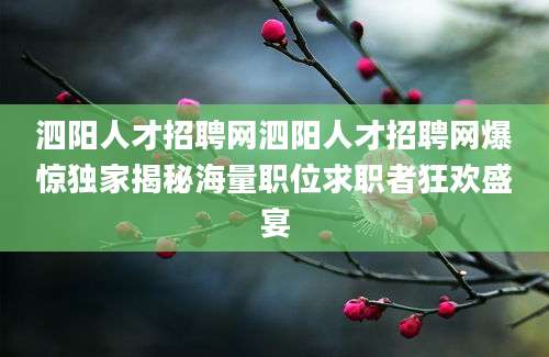 泗阳人才招聘网泗阳人才招聘网爆惊独家揭秘海量职位求职者狂欢盛宴