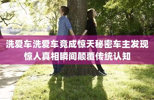洗爱车洗爱车竟成惊天秘密车主发现惊人真相瞬间颠覆传统认知