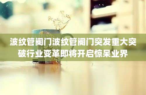 波纹管阀门波纹管阀门突发重大突破行业变革即将开启惊呆业界