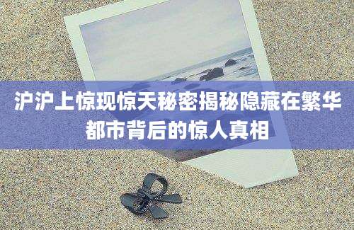 沪沪上惊现惊天秘密揭秘隐藏在繁华都市背后的惊人真相