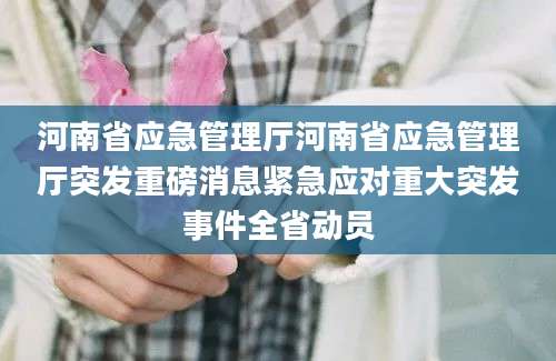 河南省应急管理厅河南省应急管理厅突发重磅消息紧急应对重大突发事件全省动员