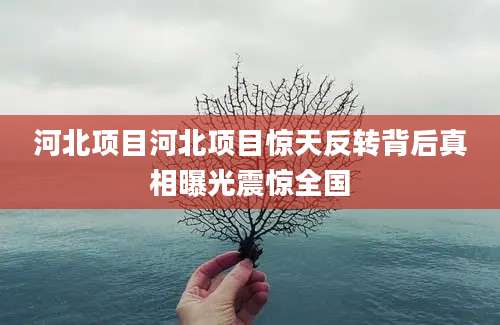 河北项目河北项目惊天反转背后真相曝光震惊全国