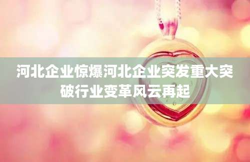 河北企业惊爆河北企业突发重大突破行业变革风云再起