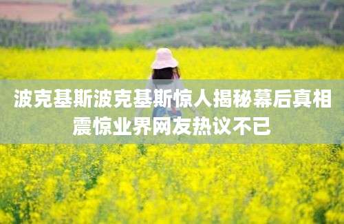 波克基斯波克基斯惊人揭秘幕后真相震惊业界网友热议不已