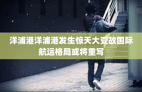 洋浦港洋浦港发生惊天大变故国际航运格局或将重写