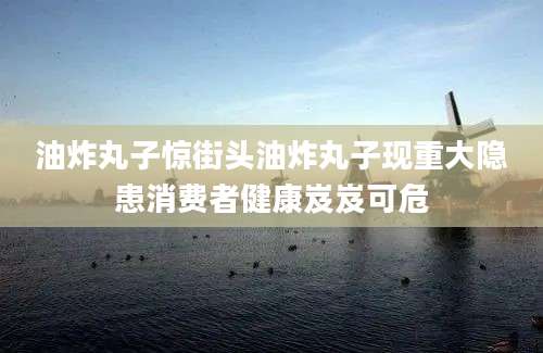 油炸丸子惊街头油炸丸子现重大隐患消费者健康岌岌可危