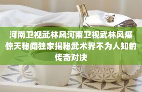 河南卫视武林风河南卫视武林风爆惊天秘闻独家揭秘武术界不为人知的传奇对决