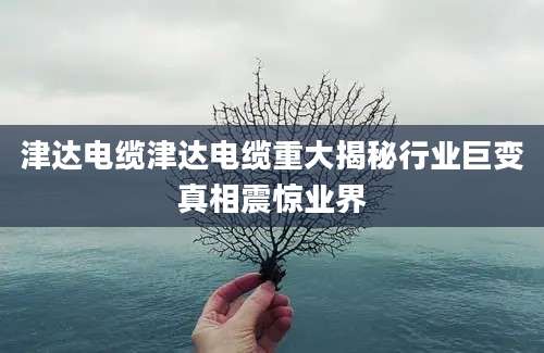 津达电缆津达电缆重大揭秘行业巨变真相震惊业界