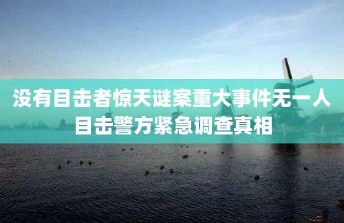 没有目击者惊天谜案重大事件无一人目击警方紧急调查真相