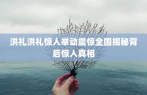 洪礼洪礼惊人举动震惊全国揭秘背后惊人真相