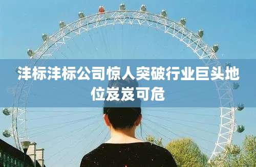 沣标沣标公司惊人突破行业巨头地位岌岌可危