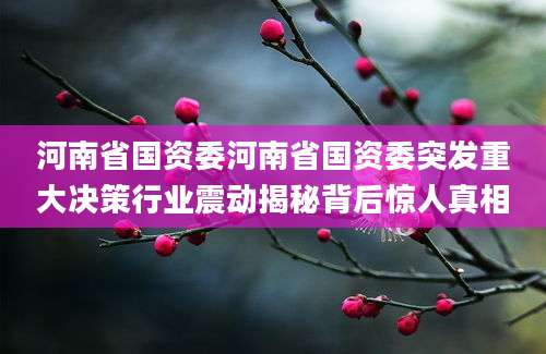 河南省国资委河南省国资委突发重大决策行业震动揭秘背后惊人真相
