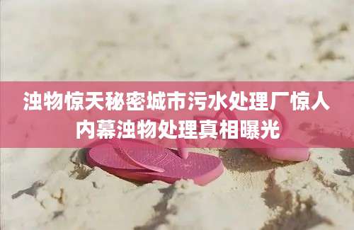 浊物惊天秘密城市污水处理厂惊人内幕浊物处理真相曝光