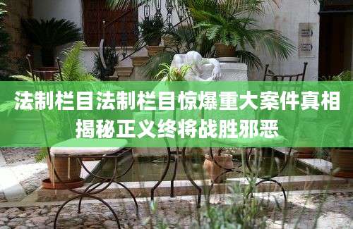 法制栏目法制栏目惊爆重大案件真相揭秘正义终将战胜邪恶