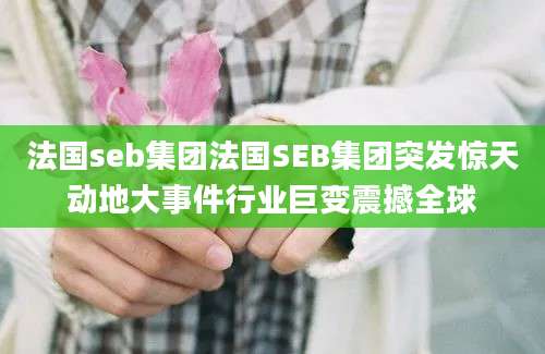 法国seb集团法国SEB集团突发惊天动地大事件行业巨变震撼全球