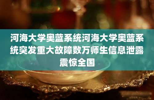 河海大学奥蓝系统河海大学奥蓝系统突发重大故障数万师生信息泄露震惊全国
