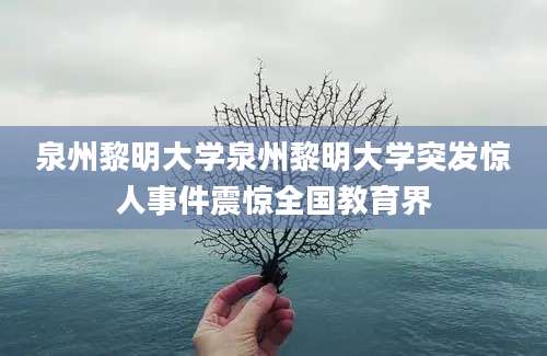 泉州黎明大学泉州黎明大学突发惊人事件震惊全国教育界