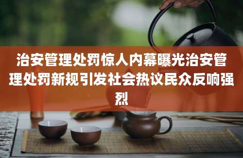 治安管理处罚惊人内幕曝光治安管理处罚新规引发社会热议民众反响强烈