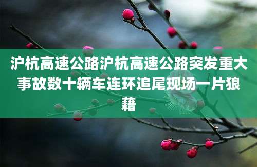沪杭高速公路沪杭高速公路突发重大事故数十辆车连环追尾现场一片狼藉