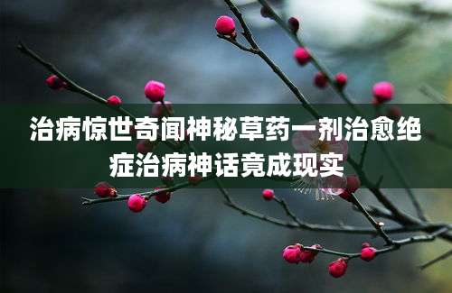 治病惊世奇闻神秘草药一剂治愈绝症治病神话竟成现实